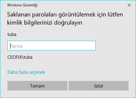 Edge Tarayıcısında Kaydedilen Web Şifreleri Nasıl Bulunur