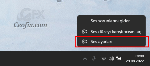 ses ayarları