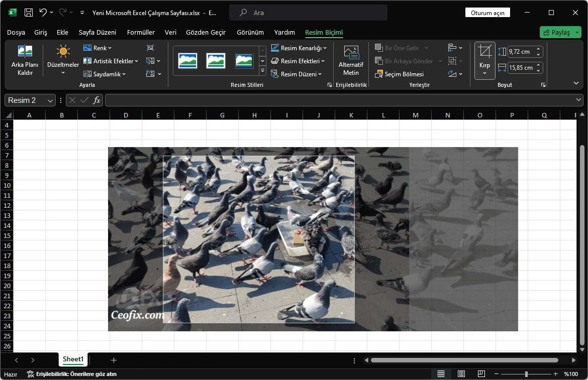 Excel De Resim Kirpma