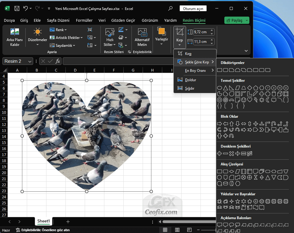 Excel Resmi Şekle Göre Kırp