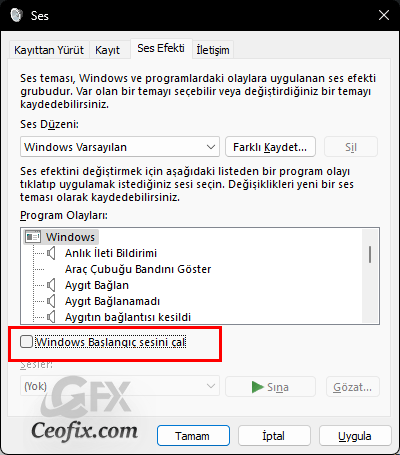 Windows Başlangıç ​​sesini kapat
